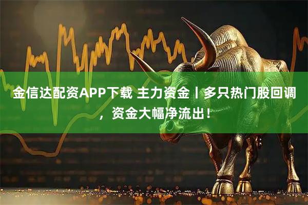 金信达配资APP下载 主力资金丨多只热门股回调，资金大幅净流出！
