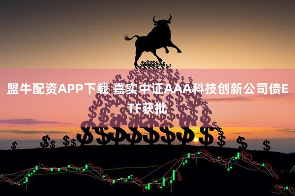 盟牛配资APP下载 嘉实中证AAA科技创新公司债ETF获批