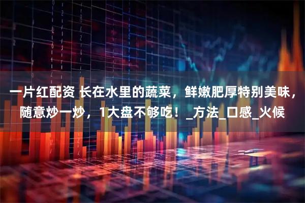 一片红配资 长在水里的蔬菜，鲜嫩肥厚特别美味，随意炒一炒，1大盘不够吃！_方法_口感_火候
