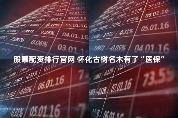 股票配资排行官网 怀化古树名木有了“医保”
